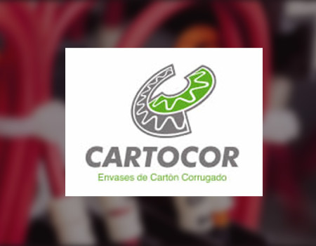 Cliente Cartocor